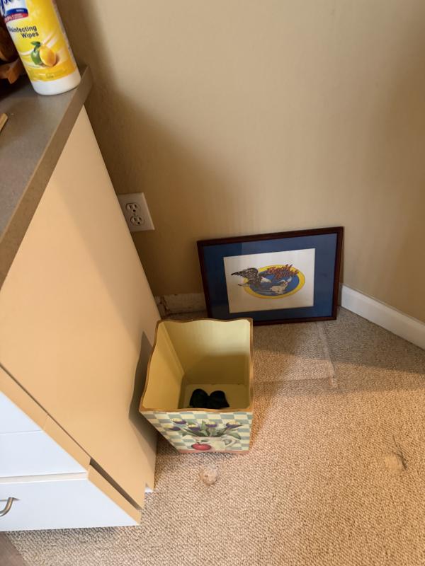 Sale Photo Thumbnail #54