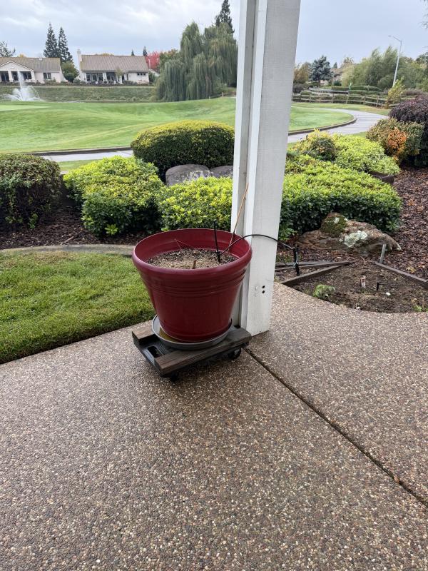 Sale Photo Thumbnail #29