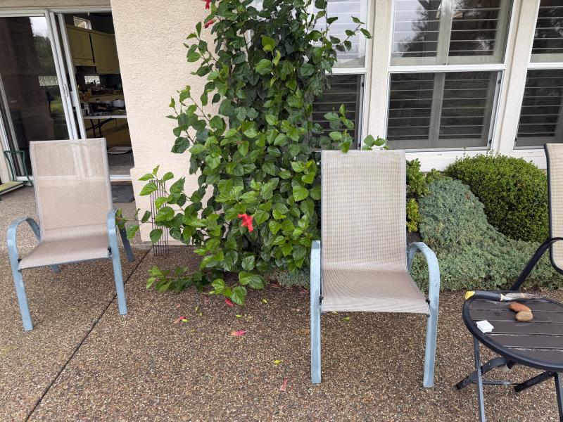 Sale Photo Thumbnail #33