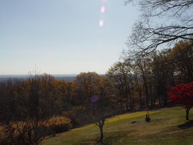 Sale Photo Thumbnail #56