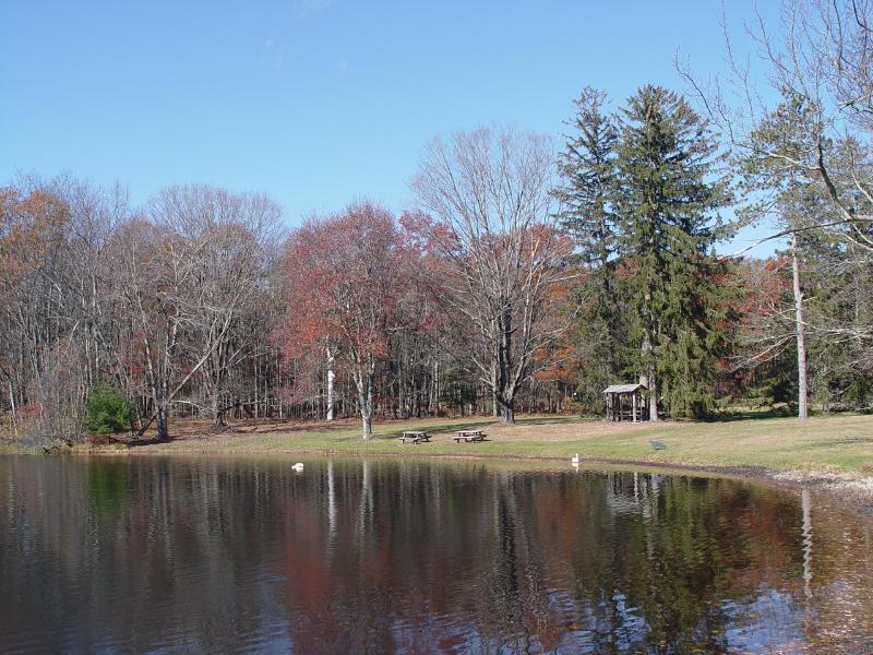 Sale Photo Thumbnail #50