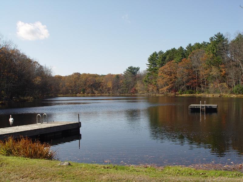 Sale Photo Thumbnail #48