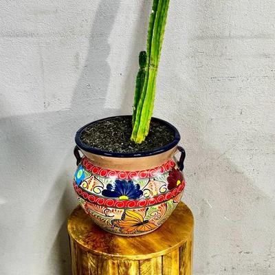 Found & Fable Havana Accent Table & Floral Talavera Planter + Potted Cactus 