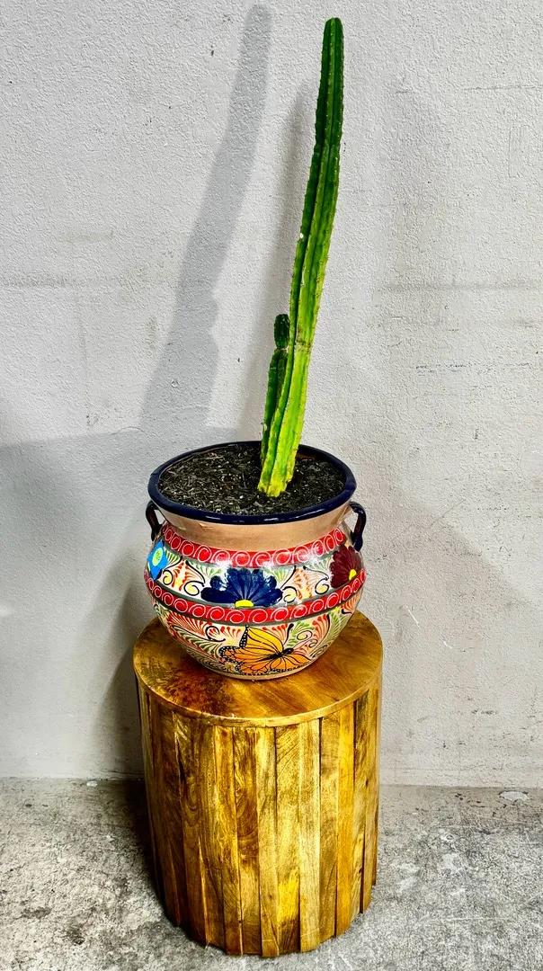 Found & Fable Havana Accent Table & Floral Talavera Planter + Potted Cactus 