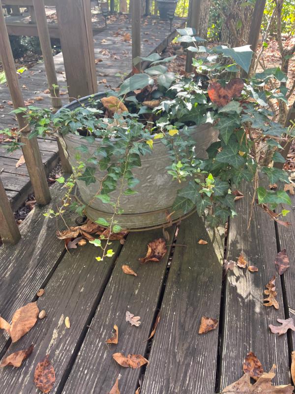 Sale Photo Thumbnail #117