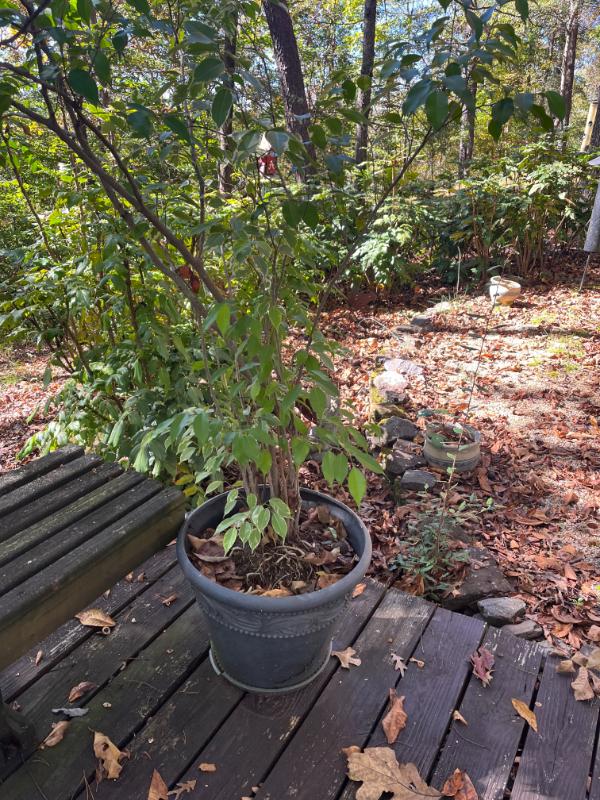 Sale Photo Thumbnail #124