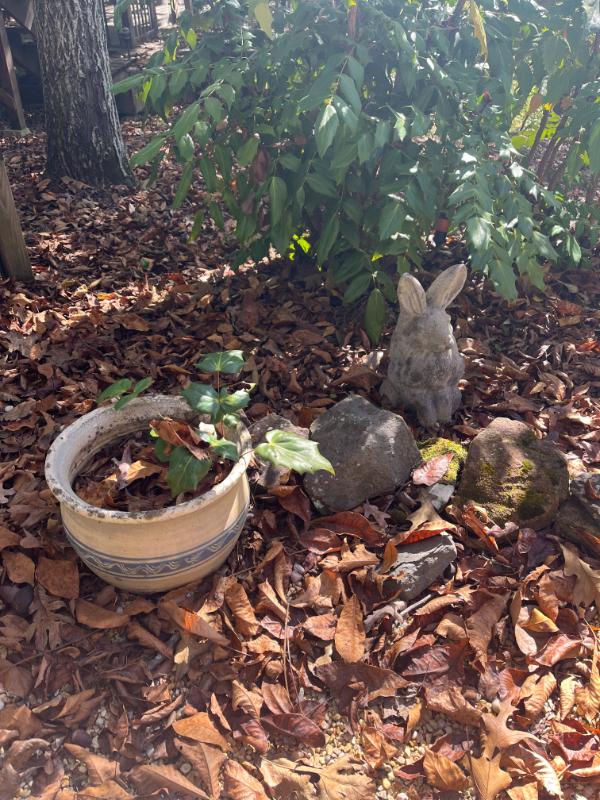 Sale Photo Thumbnail #122