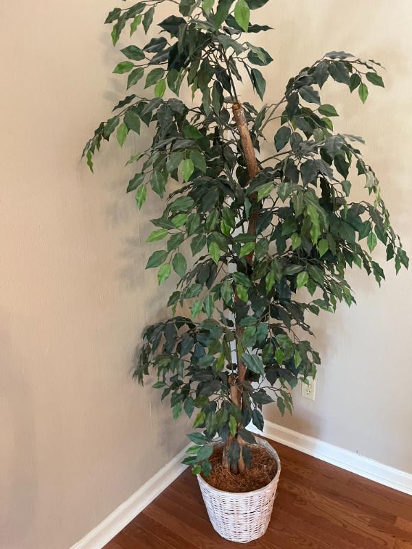 Sale Photo Thumbnail #72