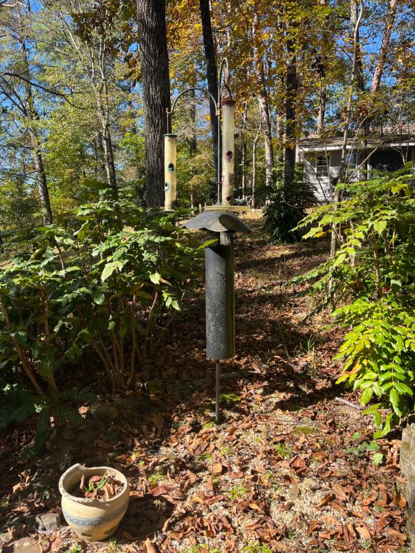 Sale Photo Thumbnail #123