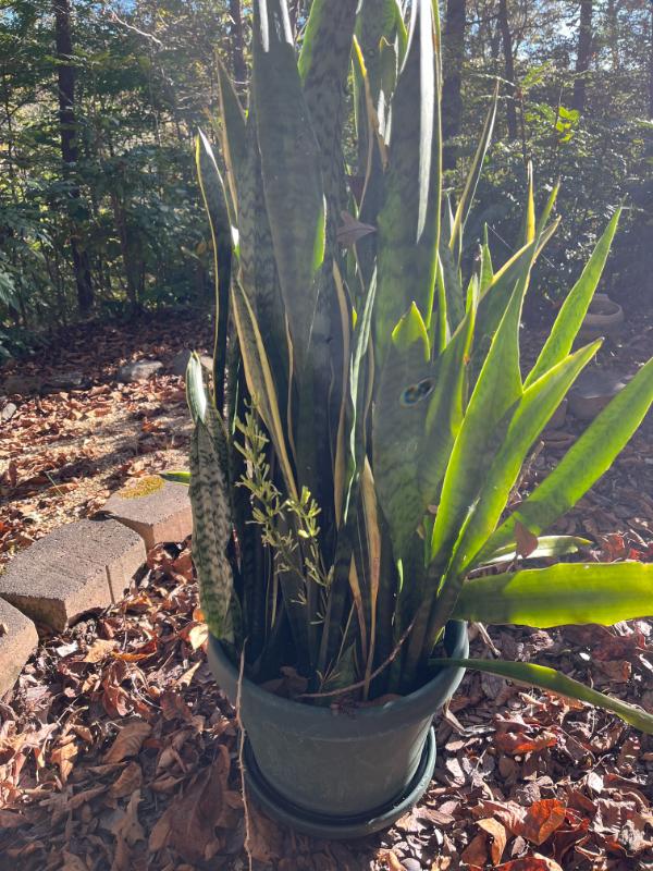 Sale Photo Thumbnail #24