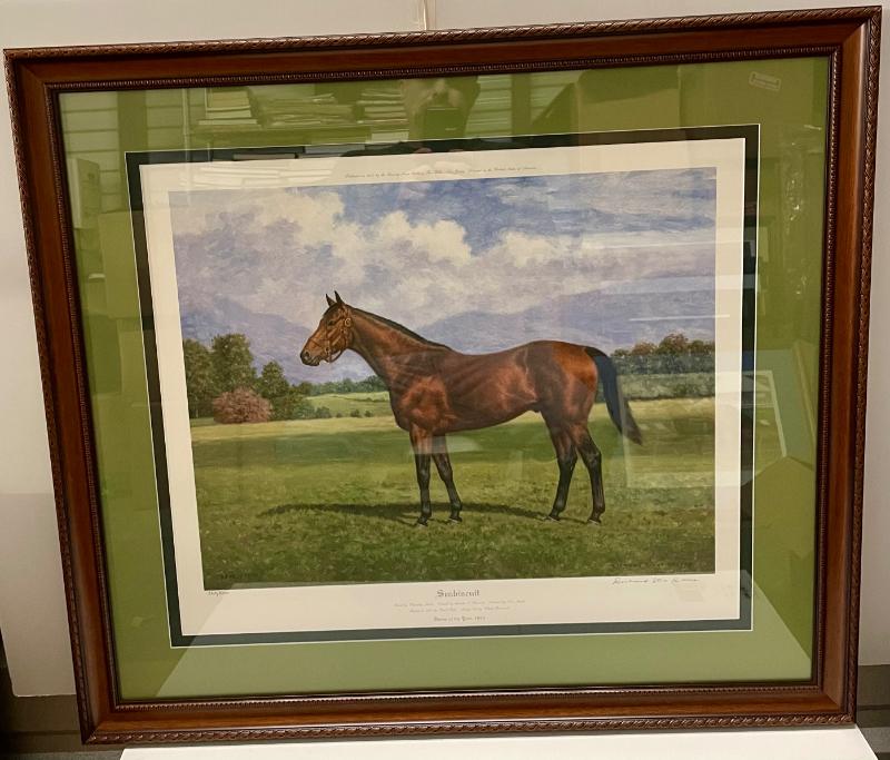 Sale Photo Thumbnail #16