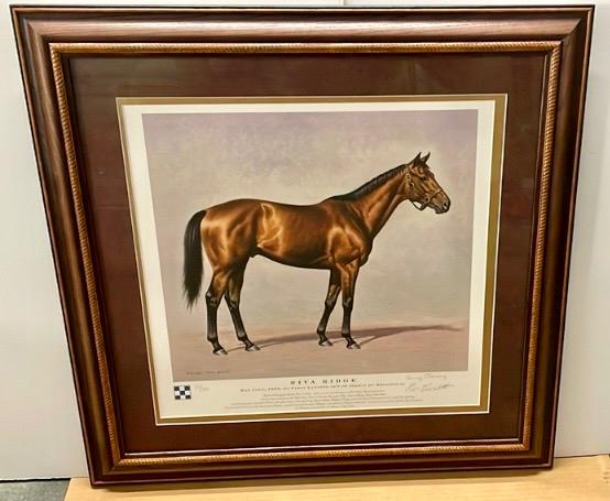 Sale Photo Thumbnail #13