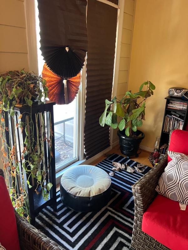 Sale Photo Thumbnail #79