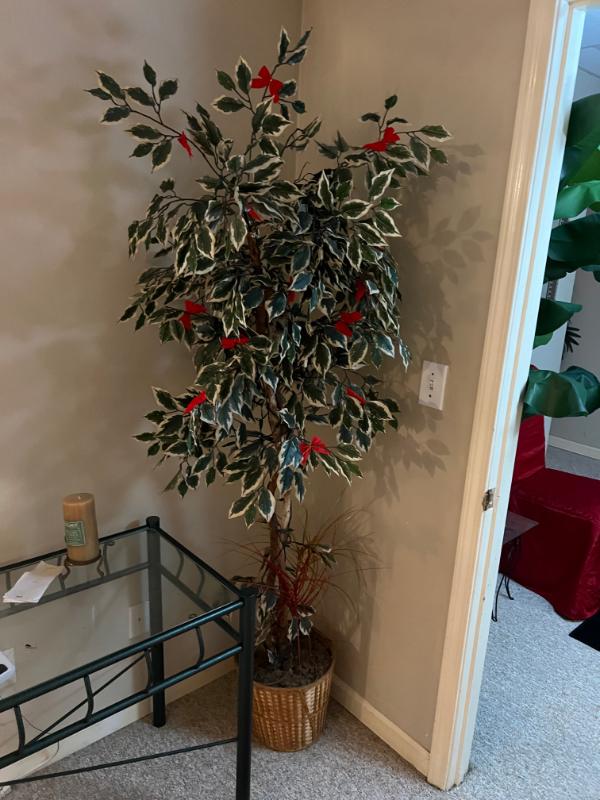 Sale Photo Thumbnail #163