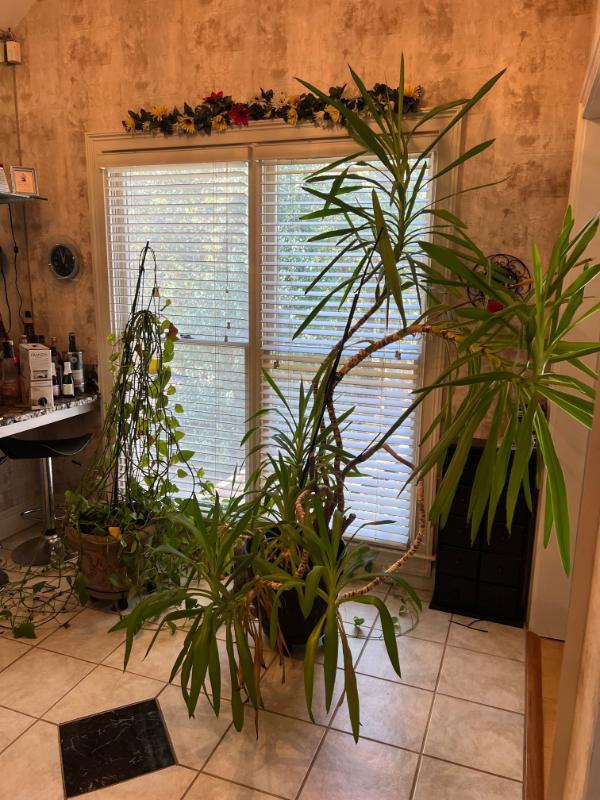 Sale Photo Thumbnail #78