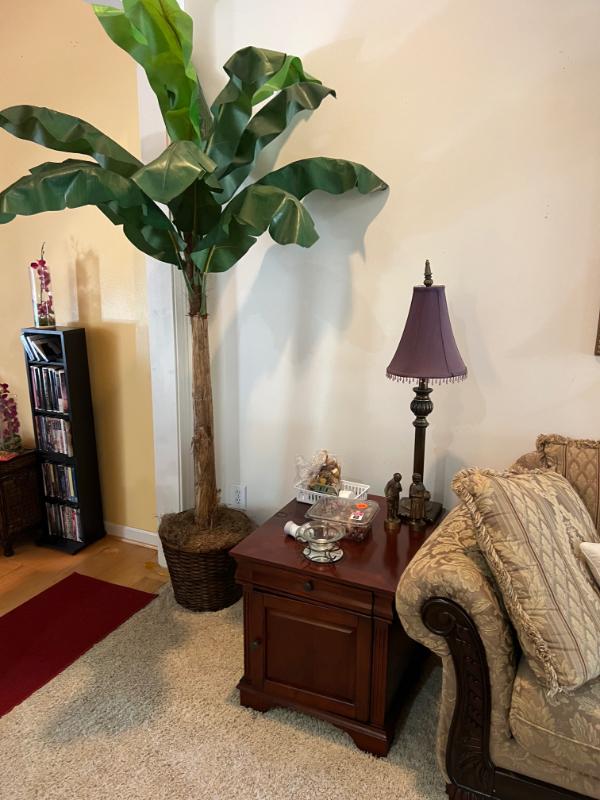 Sale Photo Thumbnail #70