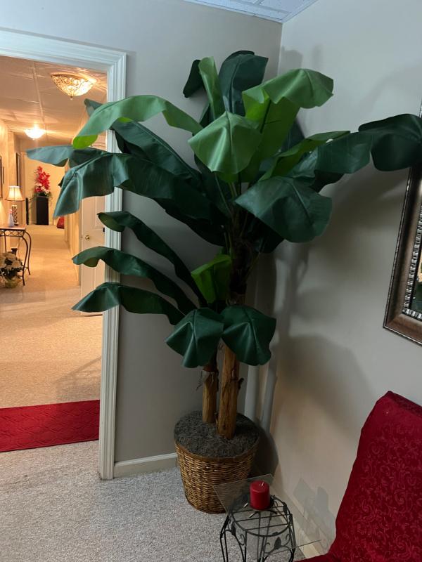 Sale Photo Thumbnail #7