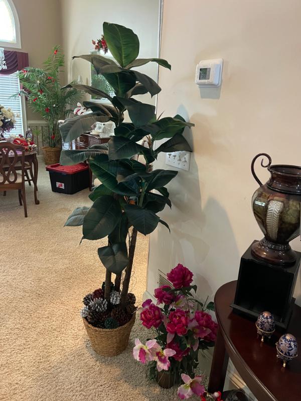 Sale Photo Thumbnail #65