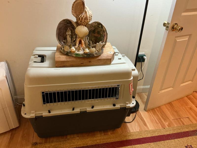 Sale Photo Thumbnail #44