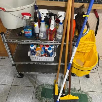 Clean Cart W/ Supplies 