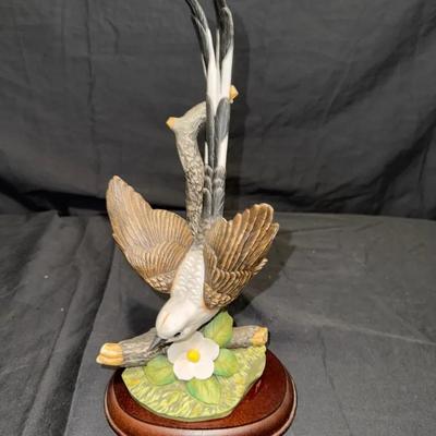 Scissortail Homco Bird