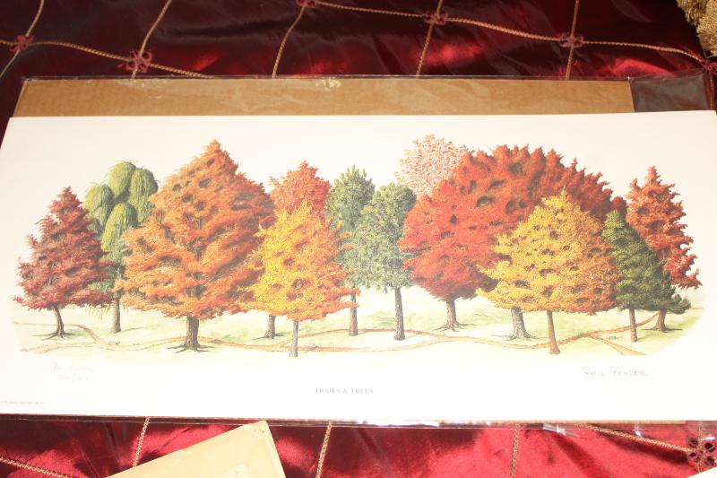 Sale Photo Thumbnail #505