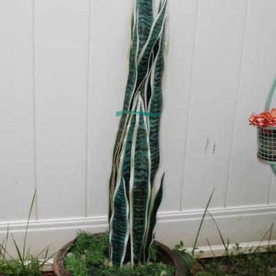 Sale Photo Thumbnail #328