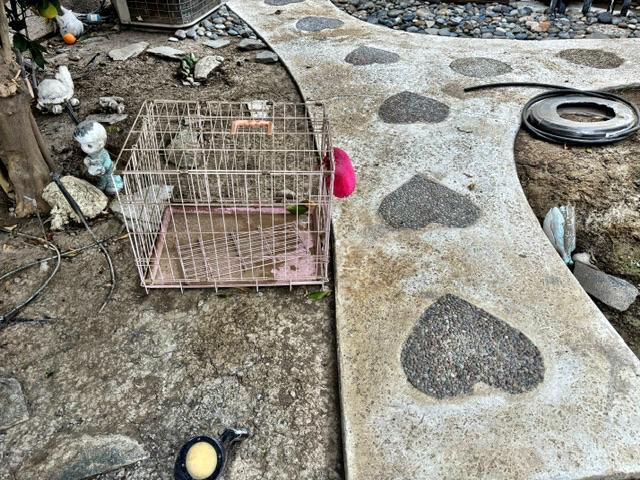 Sale Photo Thumbnail #84