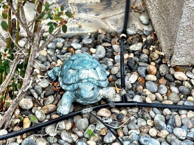 Sale Photo Thumbnail #82