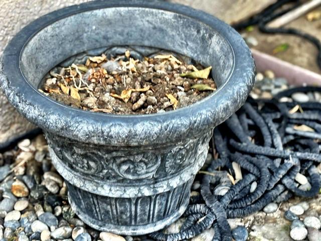 Sale Photo Thumbnail #83