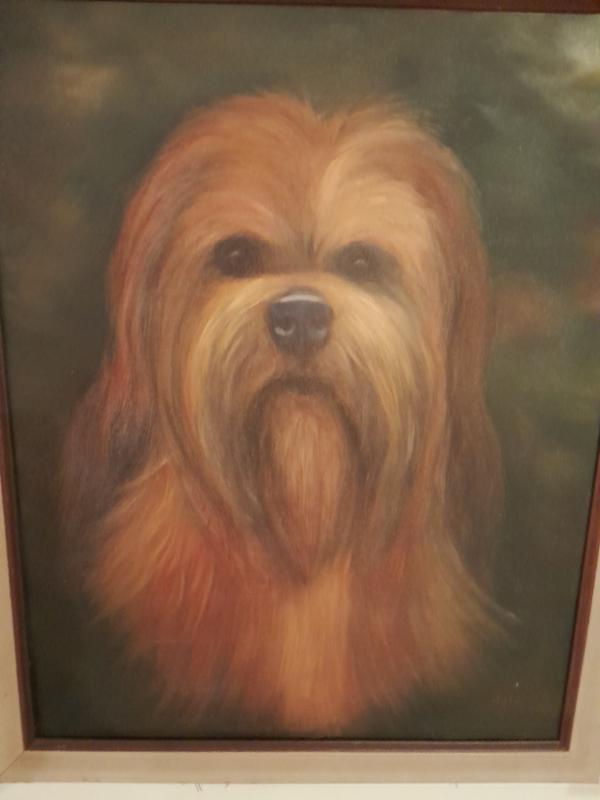 Sale Photo Thumbnail #29