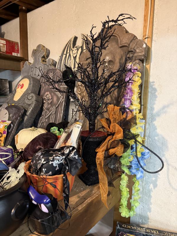 Sale Photo Thumbnail #121