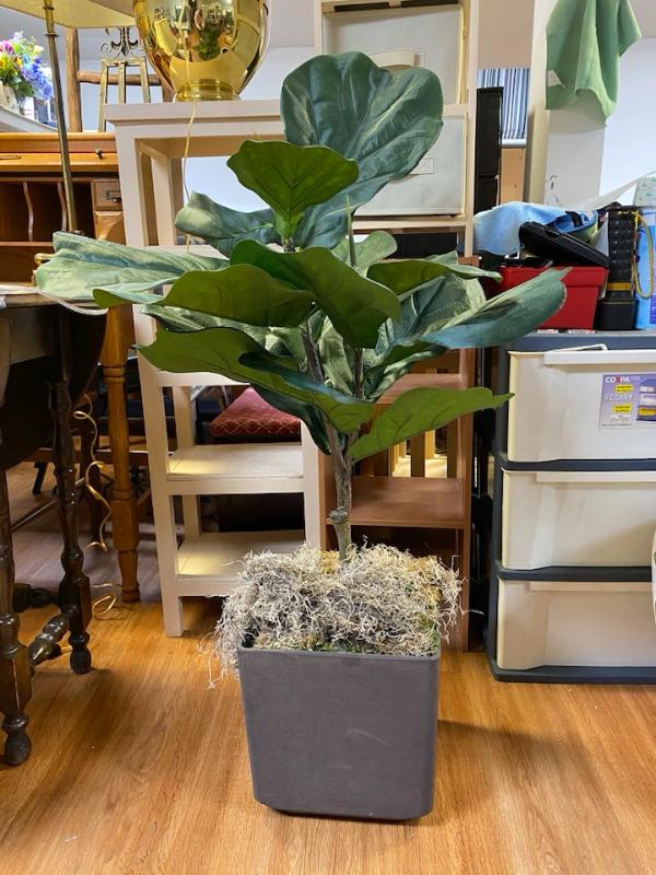 Sale Photo Thumbnail #36