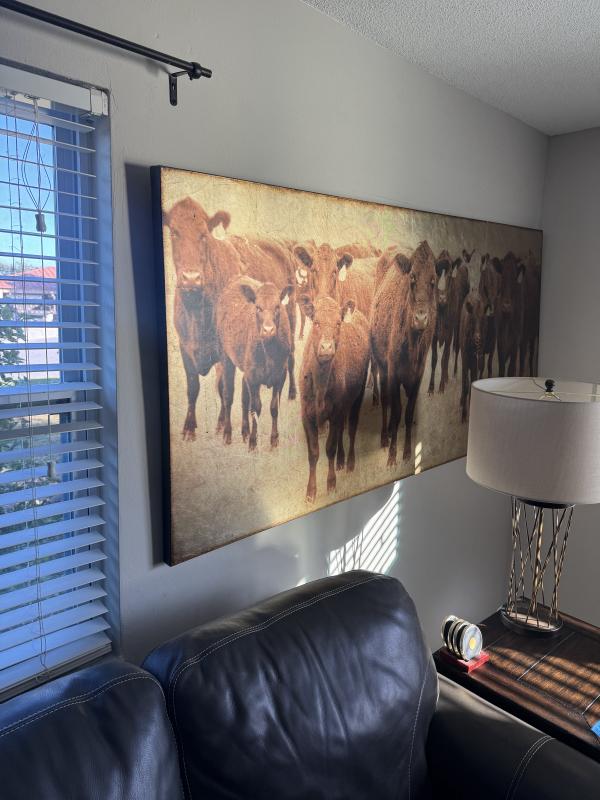 Sale Photo Thumbnail #54