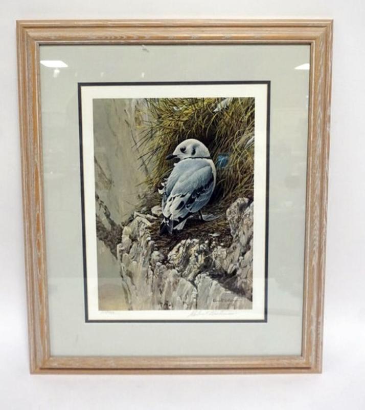 Sale Photo Thumbnail #131: 1131	ROBERT BATEMAN PRINT, FRAMED AND MATTED, PENCIL SIGNED AND NO. 219/950 *YOUNG KITTIWAKE*, APPROXIMATELY 21 IN X 26 IN OVERALL
