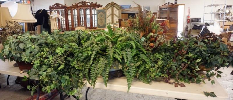Sale Photo Thumbnail #176: 1175	LARGE ASSORTMENT OF ARTIFICAL PLANT ASSORTMENTS IN PLANTERS
