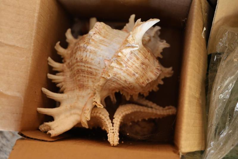 Sale Photo Thumbnail #247