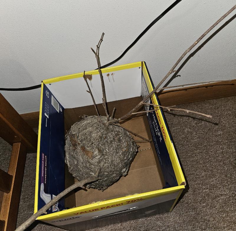 Sale Photo Thumbnail #43