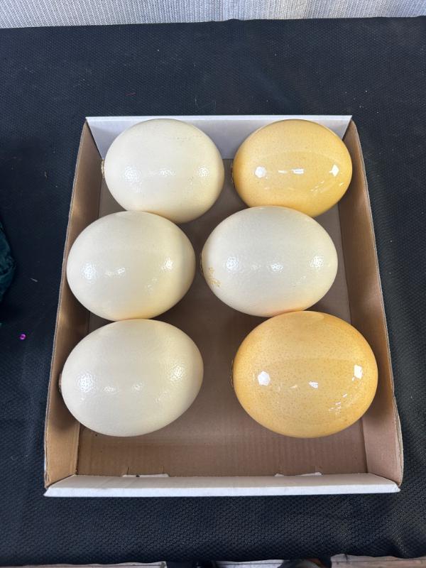 Sale Photo Thumbnail #168