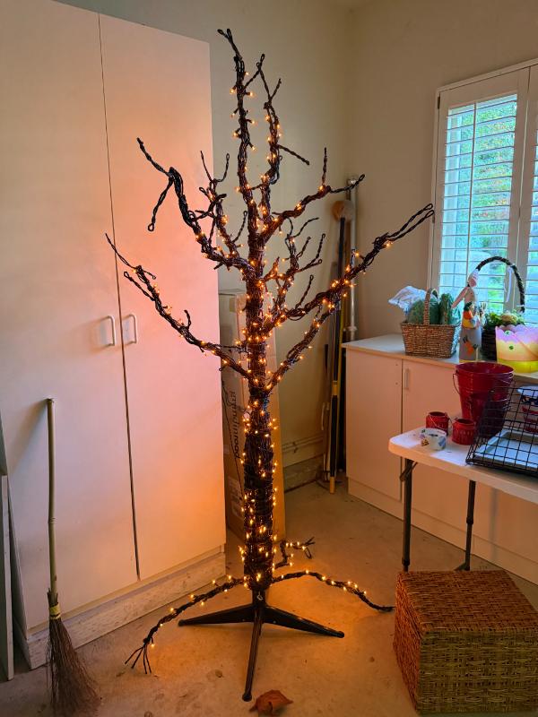 Sale Photo Thumbnail #49