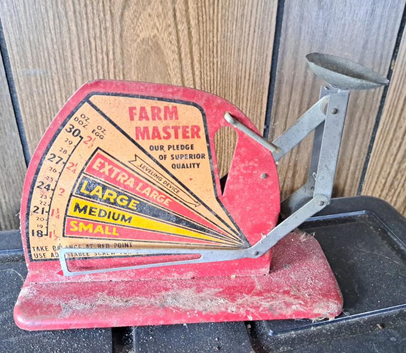 Sale Photo Thumbnail #57