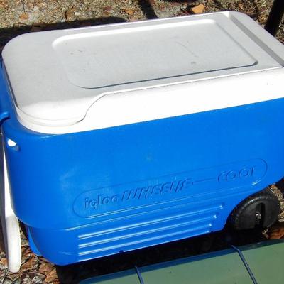 Large Cooler 