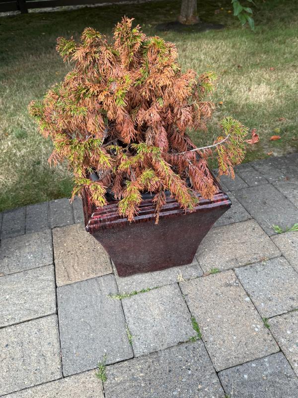 Sale Photo Thumbnail #115