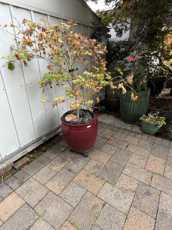 Sale Photo Thumbnail #118