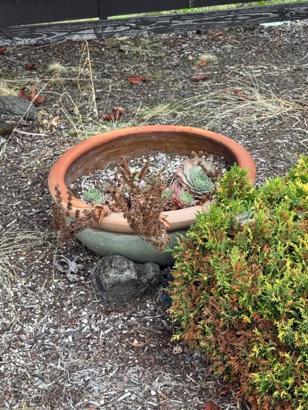 Sale Photo Thumbnail #140