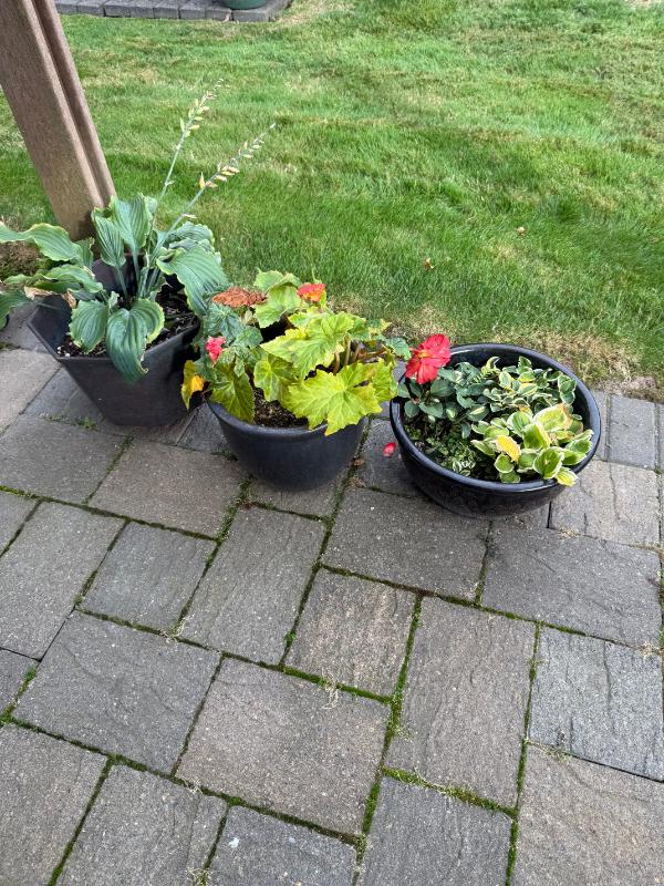 Sale Photo Thumbnail #108