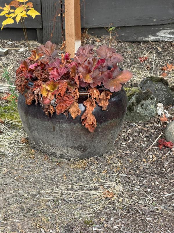 Sale Photo Thumbnail #139