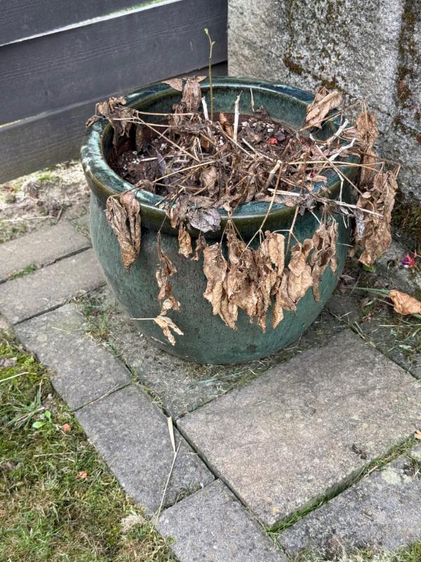 Sale Photo Thumbnail #111