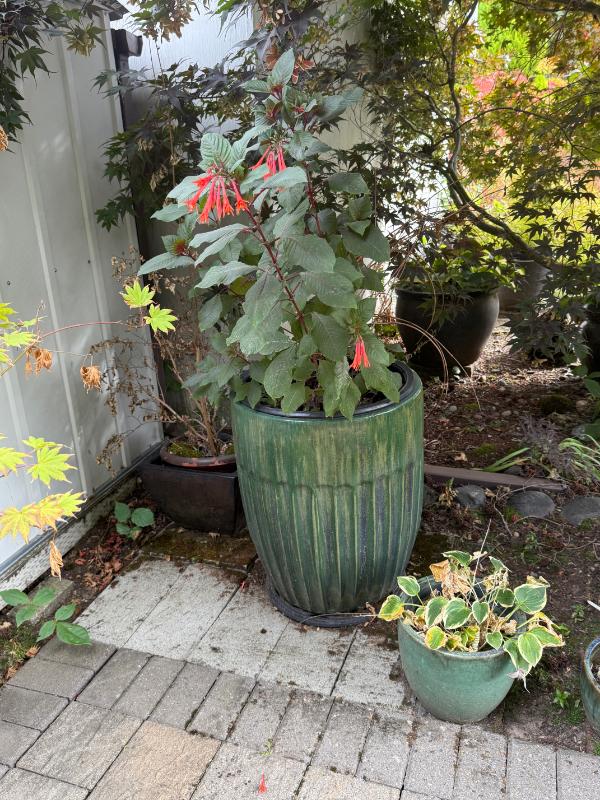 Sale Photo Thumbnail #119