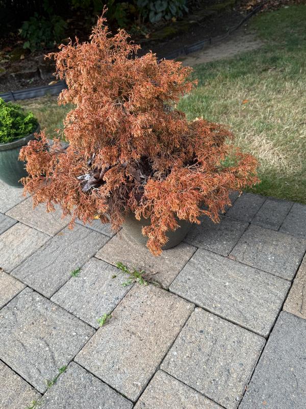 Sale Photo Thumbnail #116